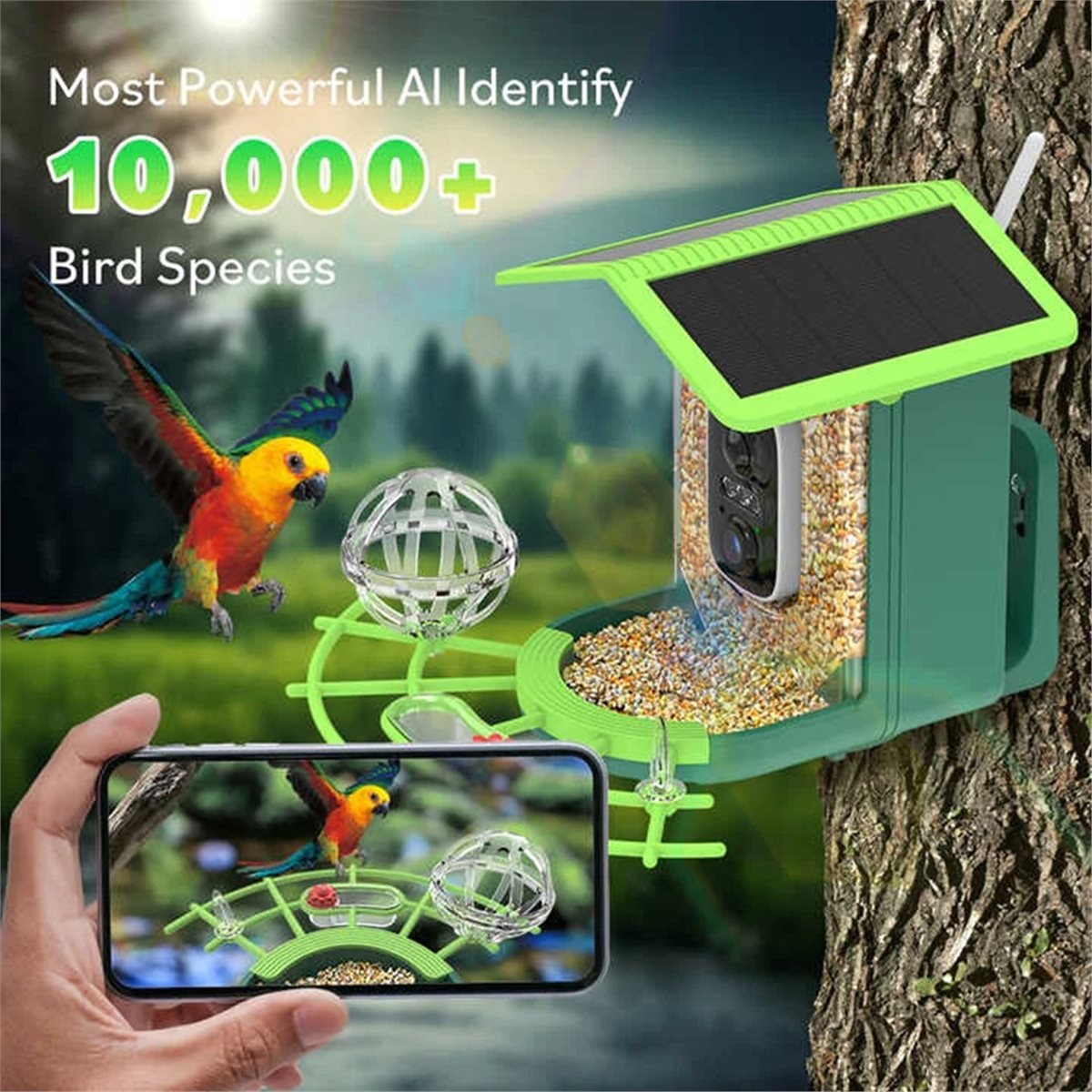 Inteligentna kamera do karmnik – Power Tools Ai recenzja i cena